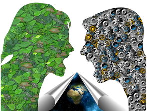 芜湖非法采砂后续管理：守护绿色江湖的坚实盾牌