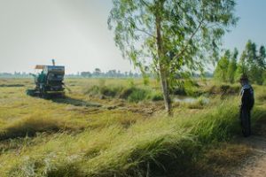 九江市采砂管理局：守护水资源的绿色卫士与行业引领者