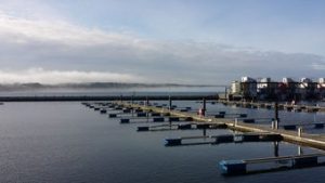 即墨智慧水利平台app：科技助力水资源管理，开启智慧水利新时代